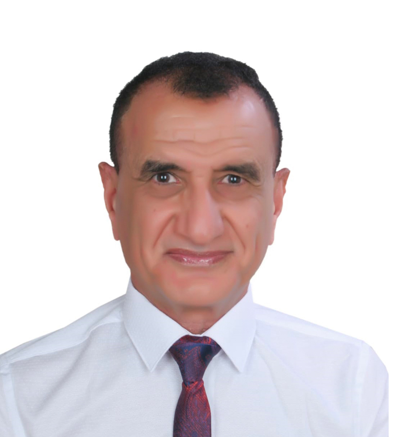 Prof. Wathiq Mansoor